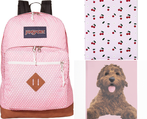 What to have in your backpack this year🌸 cover photo collage