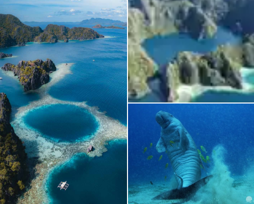 Not to miss spots in Coron Philippines!! cover photo collage