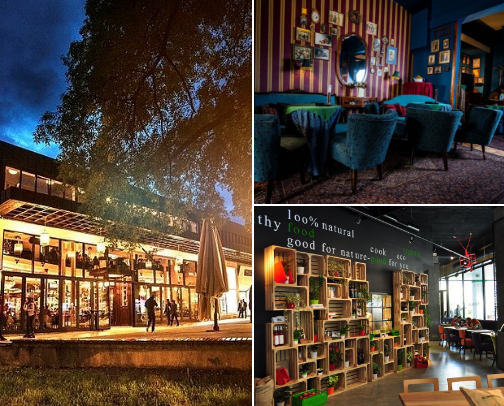 novi sad places cover photo collage