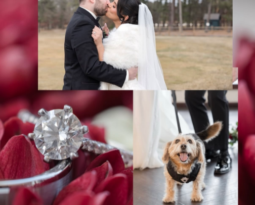 The Bride Guide | Wedding Planning Essentials cover photo collage