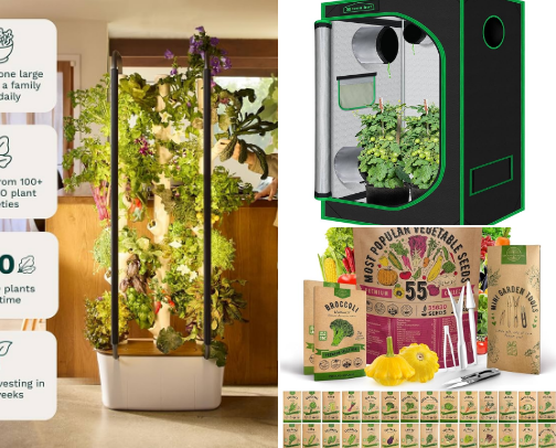 Copy of Plant Your Savings: Grow Your Own Groceries At Home Edition cover photo collage