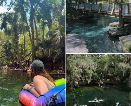 Florida Springs Starter Pack cover photo collage