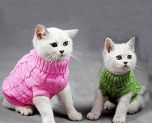The Cats Made Me Buy It cover photo collage