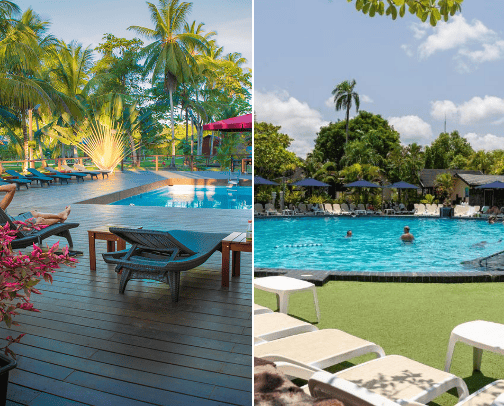 When traveling to Suriname 🇸🇷 cover photo collage