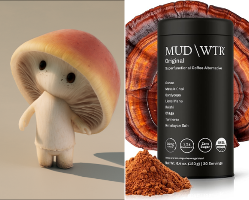 Wellness Essentials That Actually Work (My Daily Picks) cover photo collage