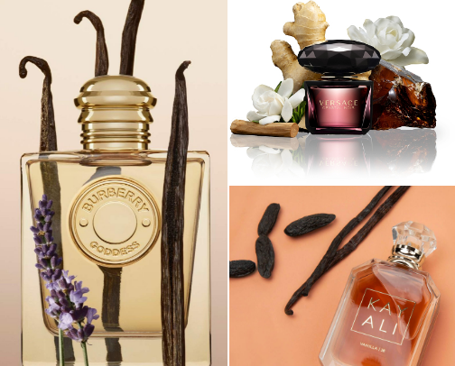 PERFUMES THAT WILL TURN HEADS cover photo collage