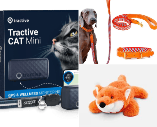 Must-Have pet items cover photo collage