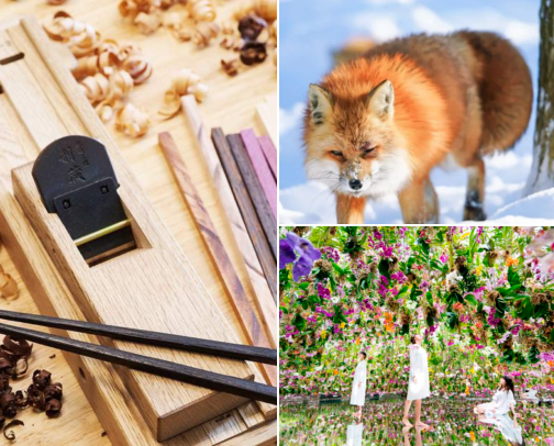 10/10 Things to do in Japan cover photo collage