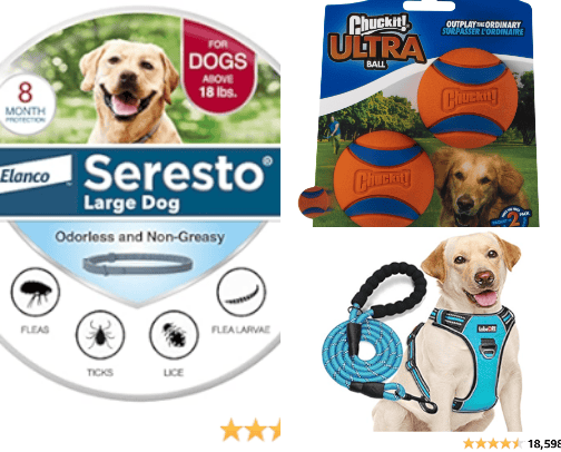 Everything for pets cover photo collage