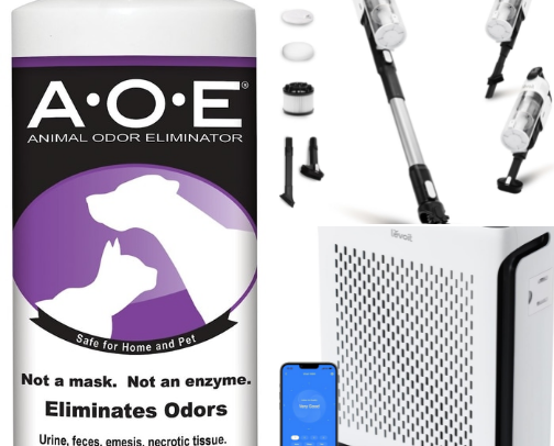 How to keep a clean & smell free house with dogs cover photo collage