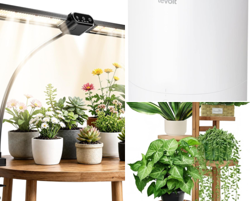 Houseplant Care Starter Kit: 16 Things That Keep Indoor Plants Thriving cover photo collage