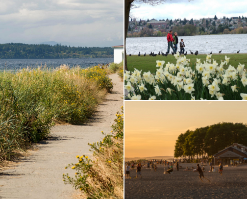 Favorite strolls around Seattle! cover photo collage