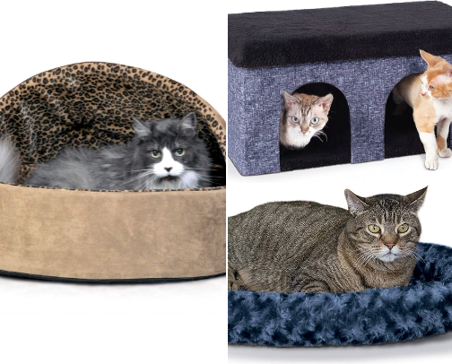 Indoor Cat Winter Essentials: Cozy Comforts for Cold Days cover photo collage