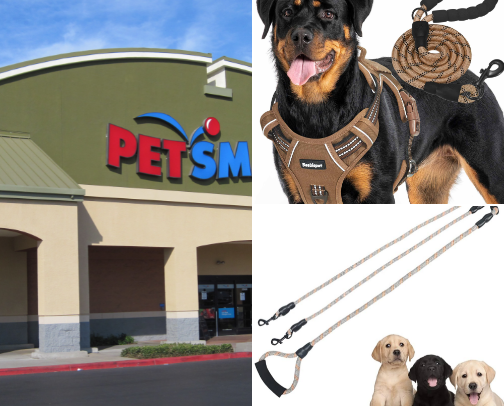 Dog Mom 🐶💅 cover photo collage