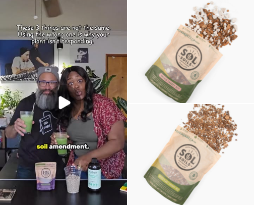 Unpretentious Plant Care for New Plant Parents cover photo collage