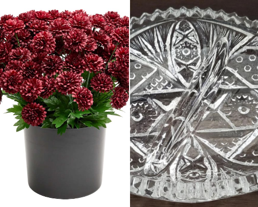 5 Favorite Finds for August cover photo collage