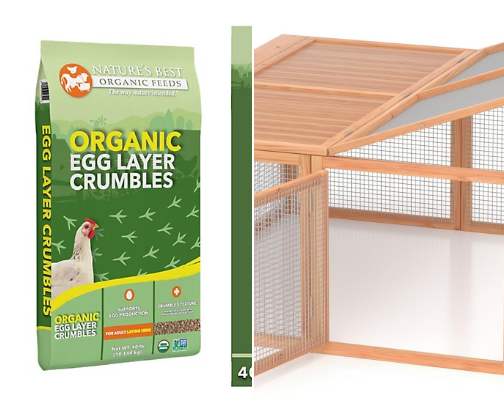 Look at all those chickens cover photo collage