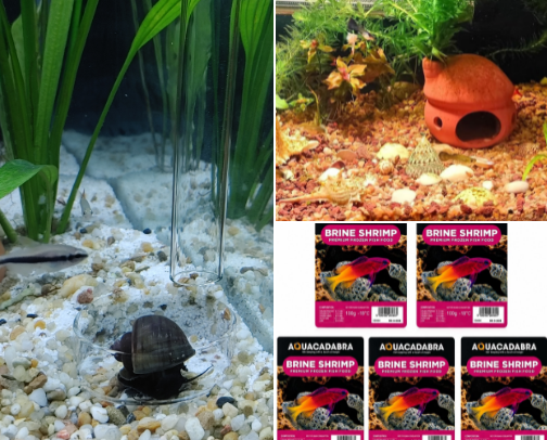 Great Aquarium Stuff cover photo collage