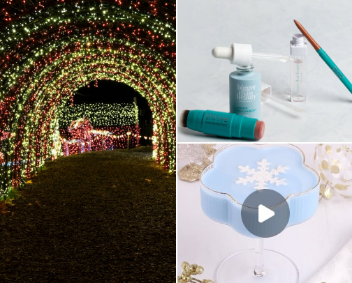 November 2025 Monthly Fixations cover photo collage