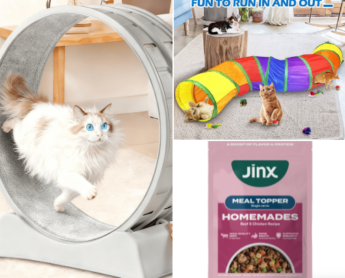 WOOF + MEOW cover photo collage