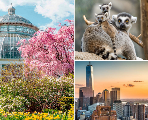 Places to Visit cover photo collage