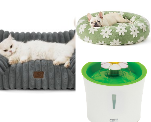 Pet care cover photo collage
