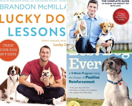 Lucky Dog Lessons: Train Your Dog in 7 Days companion training essentials cover photo collage