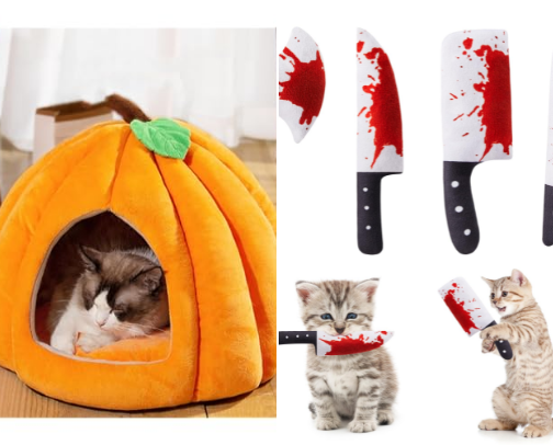 For Cat Parents cover photo collage