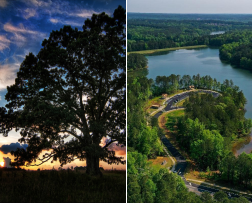 TAKE A WALK! cover photo collage