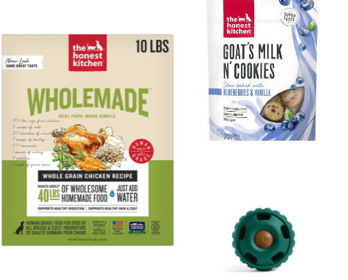 All the Best for My Puppy (Because I Want Him to Live Forever) cover photo collage