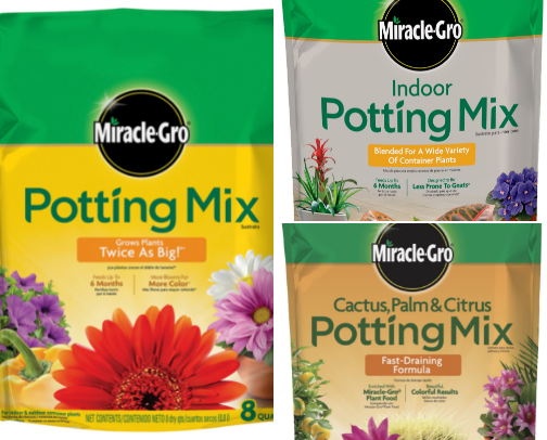 Plant mom cover photo collage