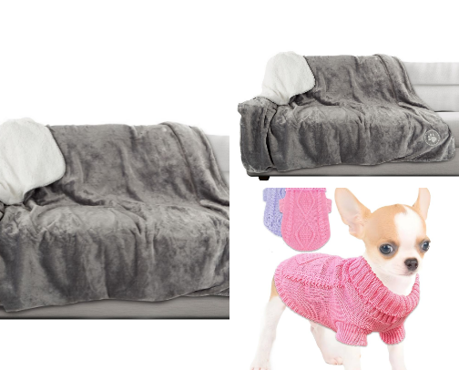 Dog necessities cover photo collage