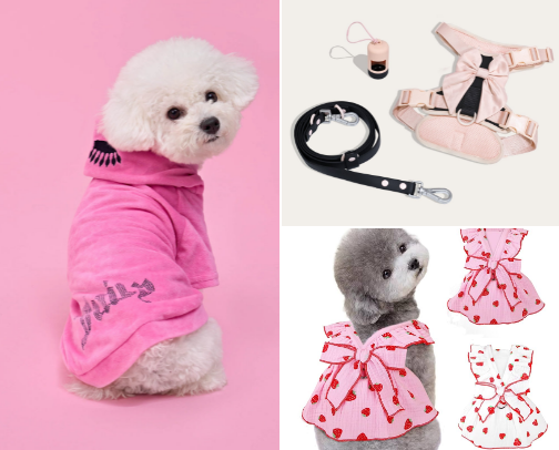 Pomeranian Essentials 🐶💗 cover photo collage