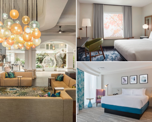 Ultimate List of Must-Stay Hilton Hotels for Your Next Trip cover photo collage