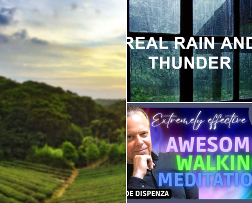 Self-Care & Inner Calm—Gentle Ways to reset cover photo collage