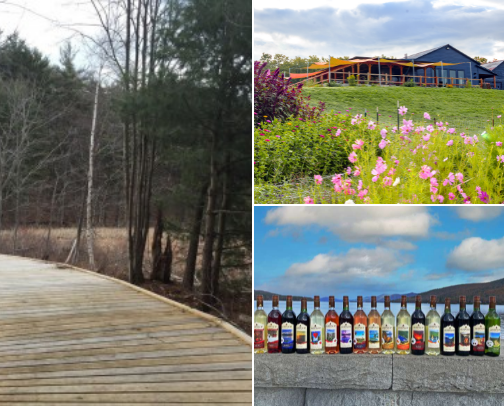 Things to do around Saratoga Springs NY and Lake George NY cover photo collage