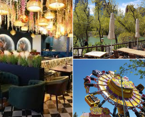 My top recs cover photo collage