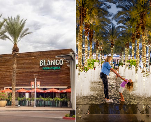 Scottsdale Favs cover photo collage