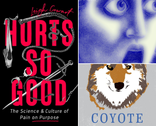 Book Recs cover photo collage