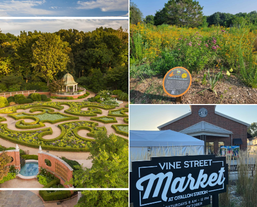 Summertime Family Activities Near St. Louis cover photo collage