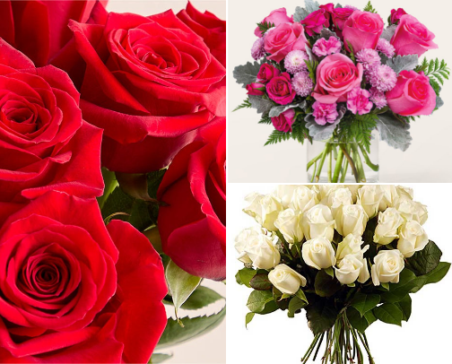 Valentine’s Day Flowers That Everyone Loves 💐 cover photo collage