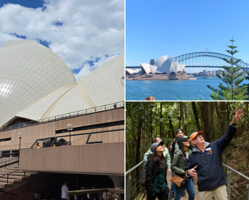 Wishlist of places I want to visit cover photo collage