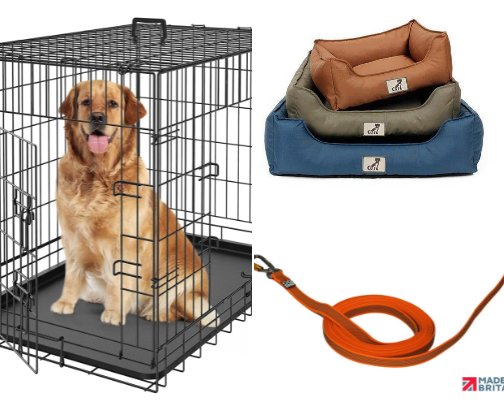 Must have puppy products cover photo collage