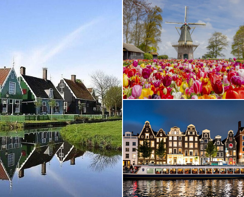 🌷Spring in the Netherlands: Luxury Tulip Itinerary cover photo collage