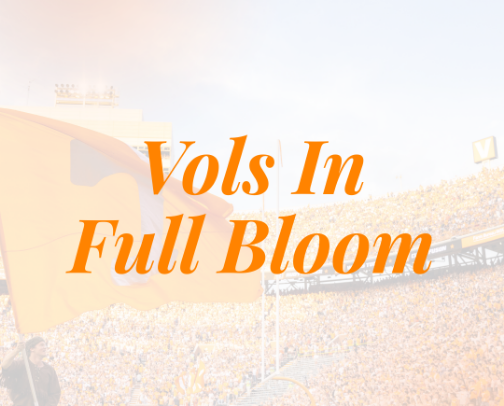 Vols In Full Bloom cover photo collage