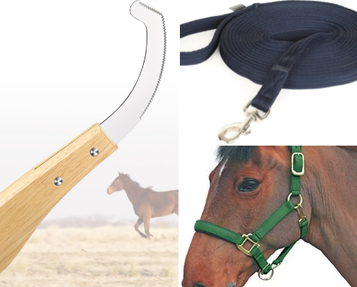 9 Equine Top Finds for budget friendly equestrians cover photo collage