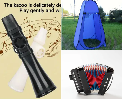 Amazing, random Temu bargains! cover photo collage