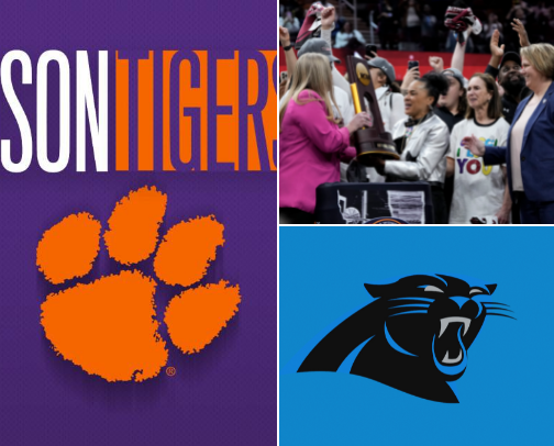 My Favorite Sports Teams cover photo collage