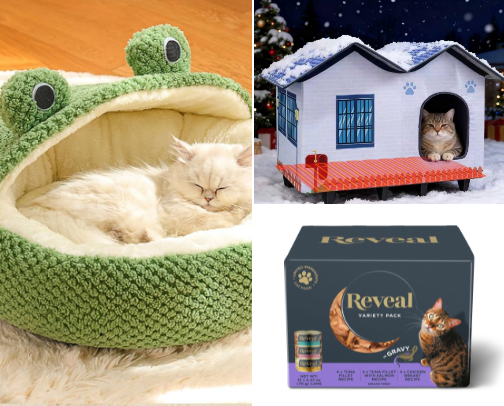 The Feline Furever Farm Cats Favorite Things cover photo collage