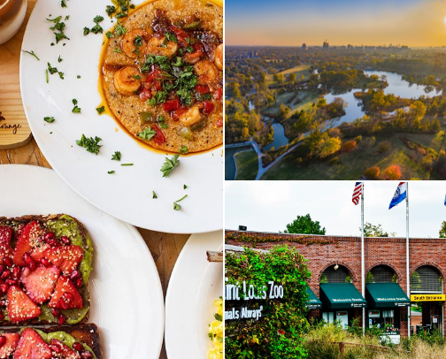 My top STL recs cover photo collage